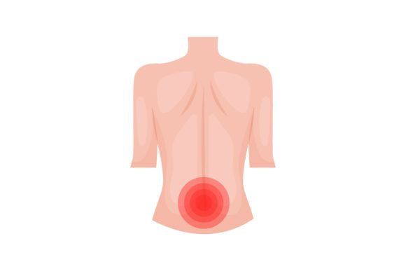 Download Throbbing Pain in Lower Back. Traumas of - Lower Collection