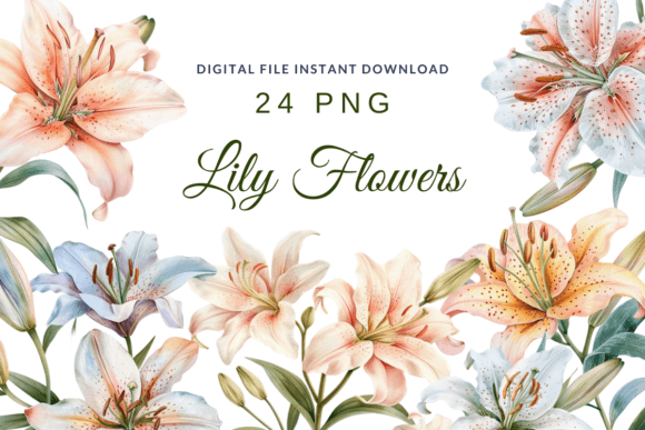 Download Watercolor Lilies Flower Lily Clipart - Lower Collection