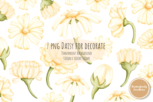 Download Daisy for Decoration - Decor Collection