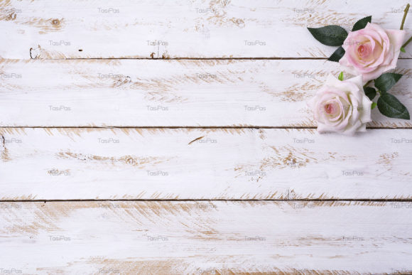 Download Holiday Invitation with Pink Roses - Pink Collection