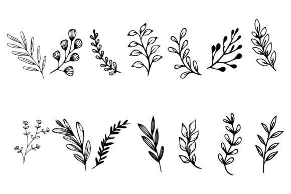 Download Botanical Leaf Wildflower Line Art - Lower Collection