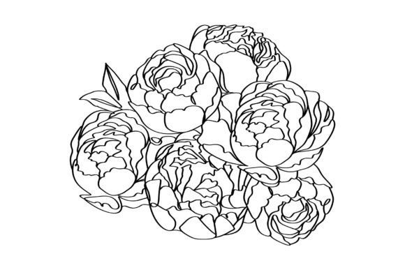 Download Bouquet of Peony Flowers Elegance Linear - Lower Collection