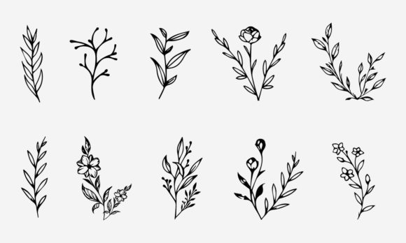 Download Flower Line Drawing Vector Illustration - Lower Collection