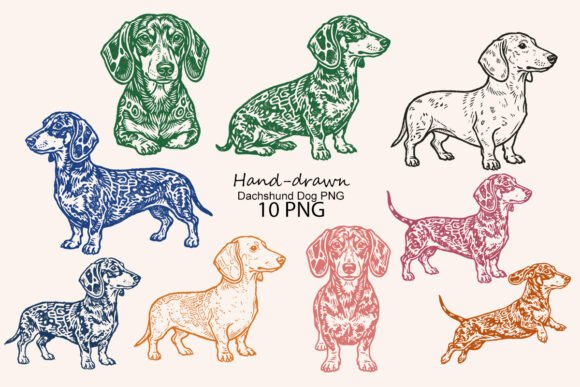 Download Hand-drawn Dachshund Dog PNG - Hand Collection