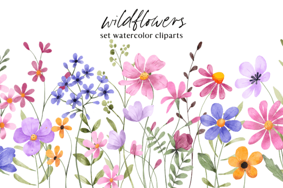 Download Floral Watercolor Set, Flowers, Leaves. - Lower Collection